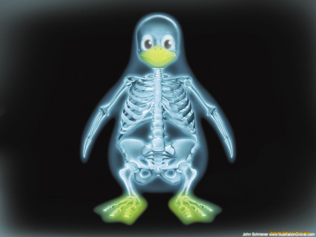 linux, 